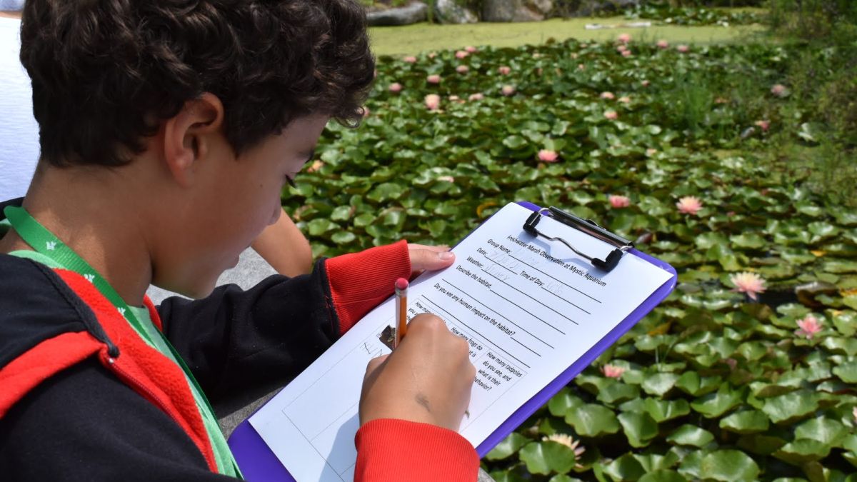 Student with a clipboard and worksheet at a marsh