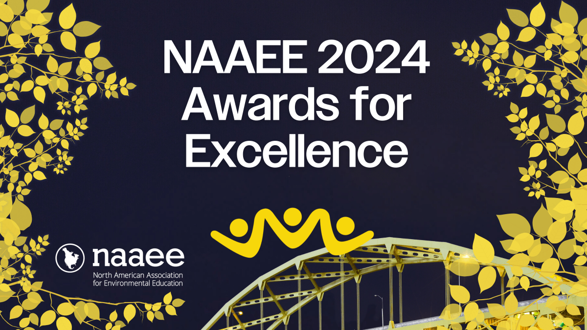 "NAAEE 2024 Awards for Excellence"