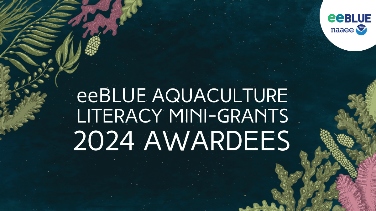 Illustrations of various sea weeds frame the text in the center that says, "Aquaculture Literacy Mini-Grants Program 2024 Awardees" against a dark green background