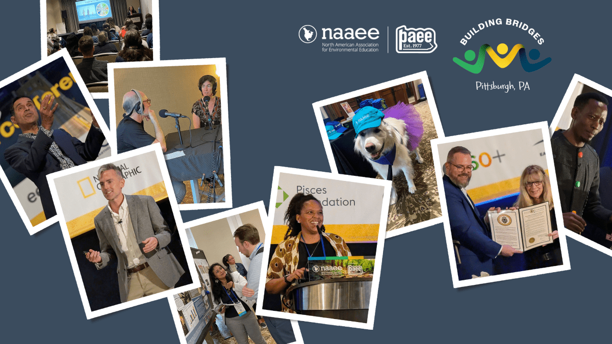 Collage of speakers and guests at NAAEE 2024
