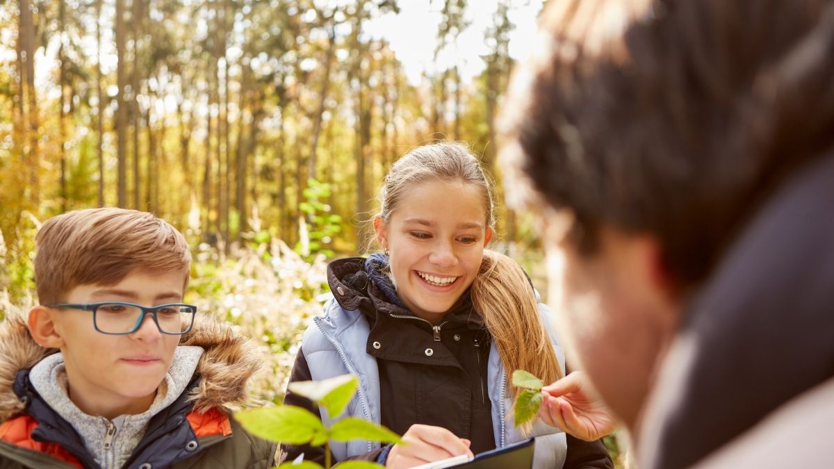 Two kids study a leaf in a forest