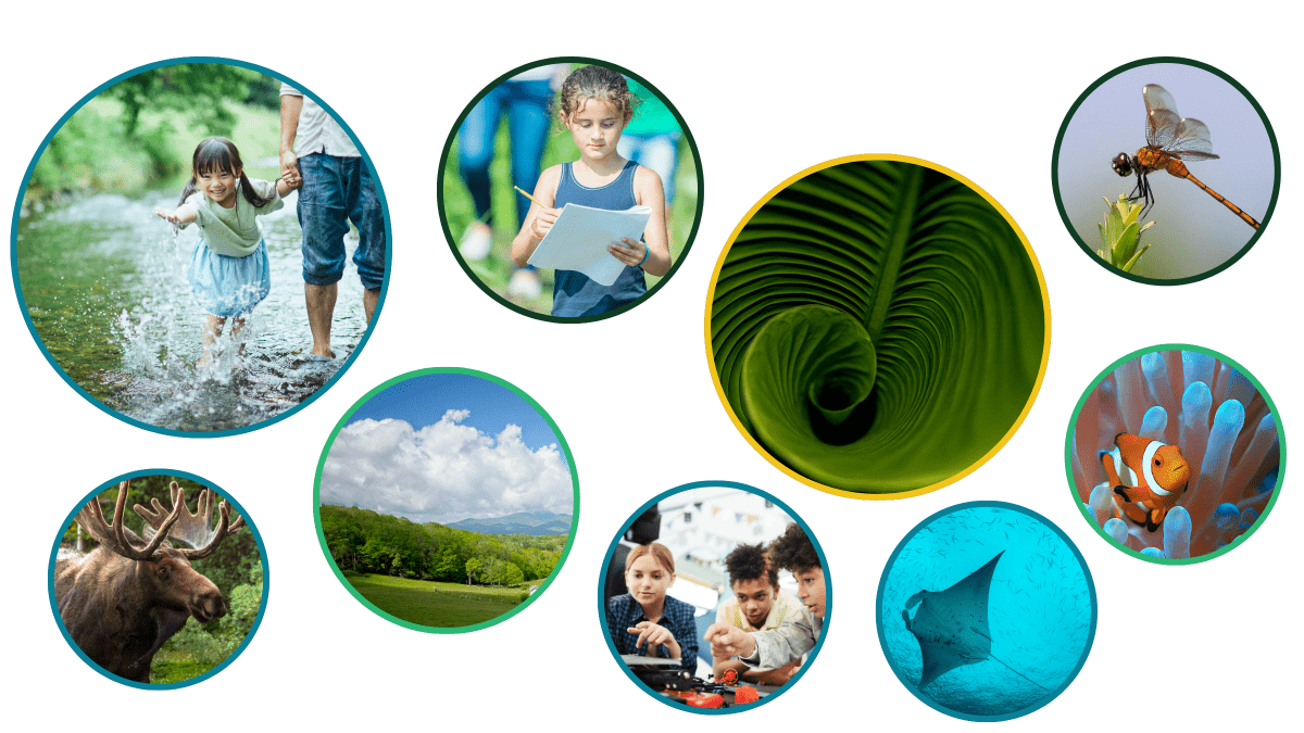 Multiple circle frames showing photos of people outdoors and wildlife