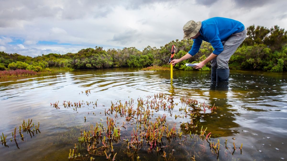 Person in field gear standing in a flooded wetland taking measurements with a scientific instrument.
