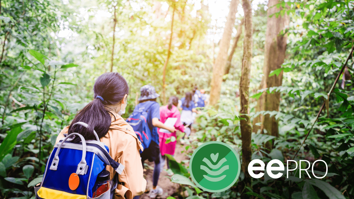 Students with backpacks on walk in a line through a forest