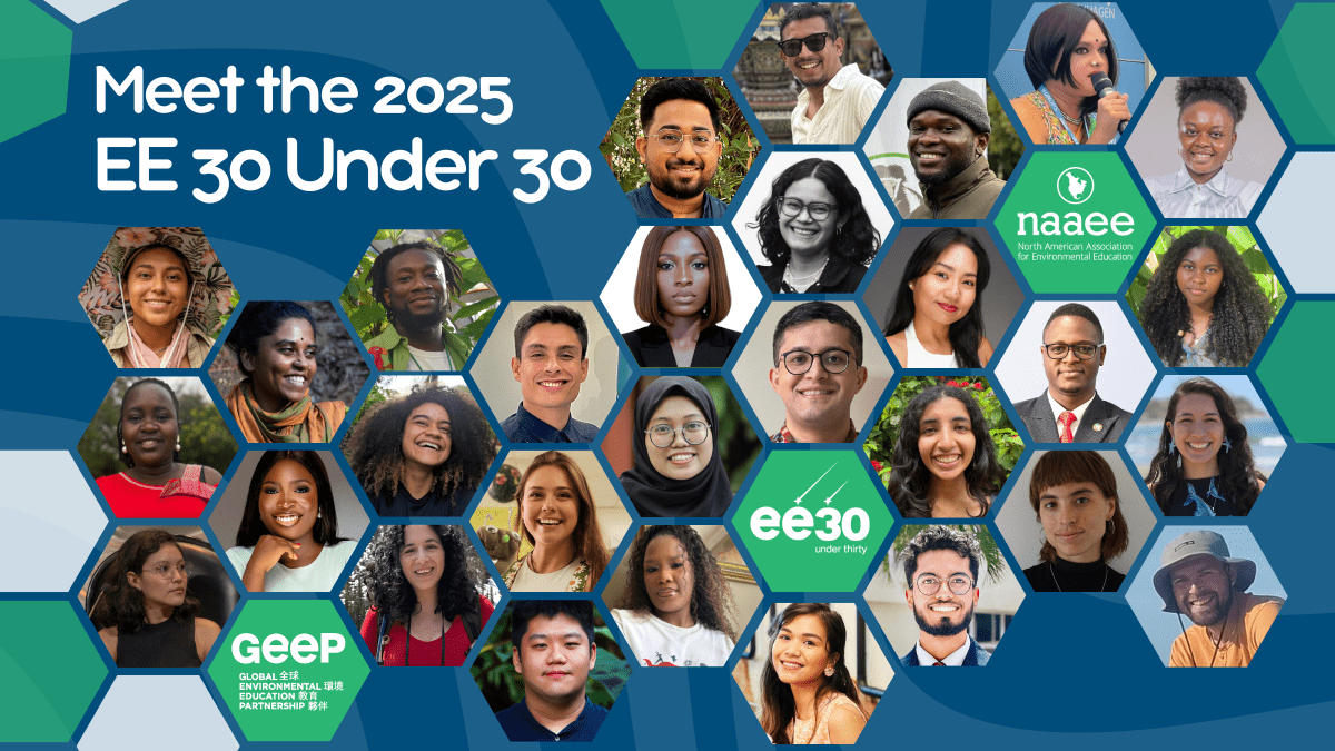 EE 30 Under 30 Class of 2025 hive of faces