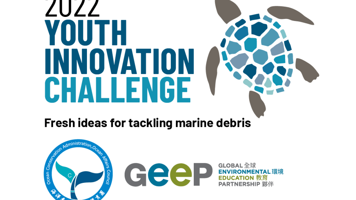 2022 Youth Innovation Challenge, blue and grey turtle illustration