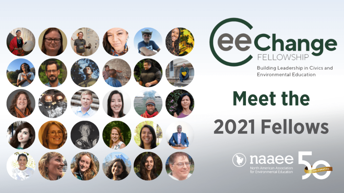 thirty faces of CEE-Change Fellows, Meet the 2021 Fellows, CEE Change and NAAEE logos