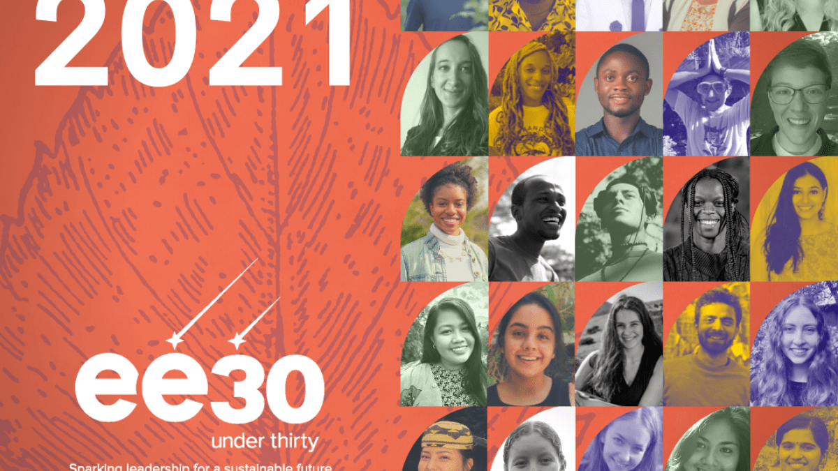 Class of 2021, ee30 Under 30 logo, NAAEE logo, faces of 30 young ee leaders on orange background with purple leaf outline