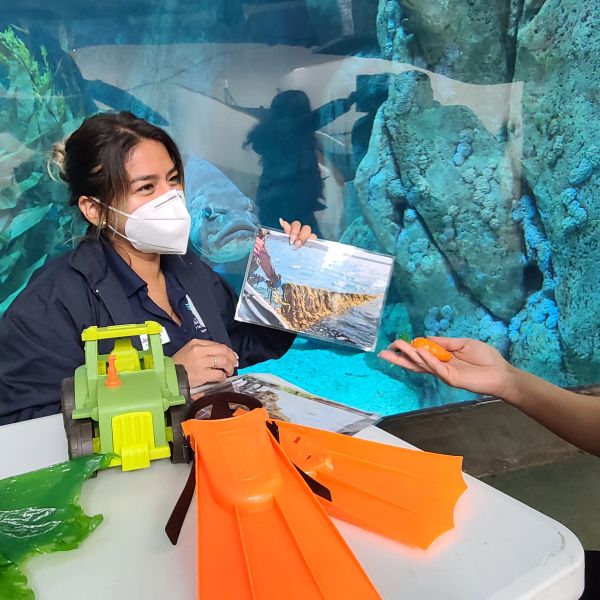 A person wearing a mask sits at a table in front of an aquarium exhibit