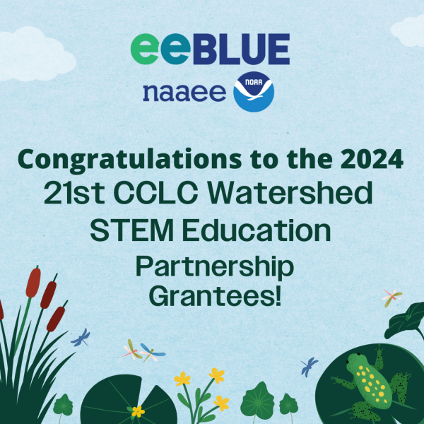 Light blue background framed by illustrations of clouds, reeds, plant life, a frog and dragonflies. The text in the center says, "Congratulations to the 2024 21st CCLC Watershed STEM Education Partnership Grantees!"