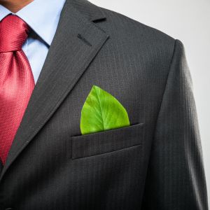 Person in brown suit with red tie and green leaf in top pocket