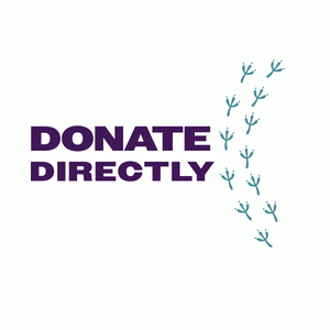 Purple text says "Donate Directly," and a wavy line of bird footprints on the right