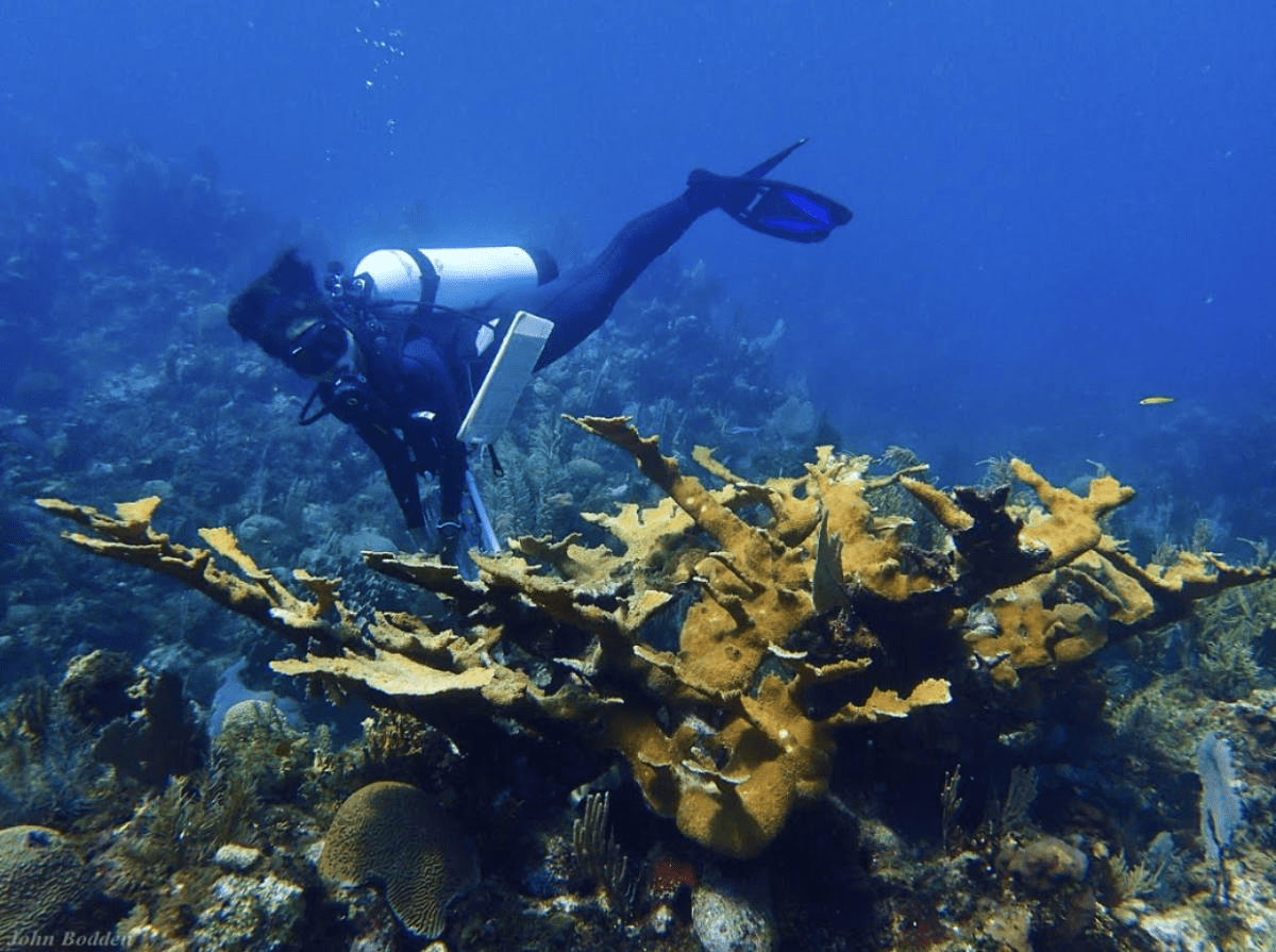 Hazel Araujo scuba diving