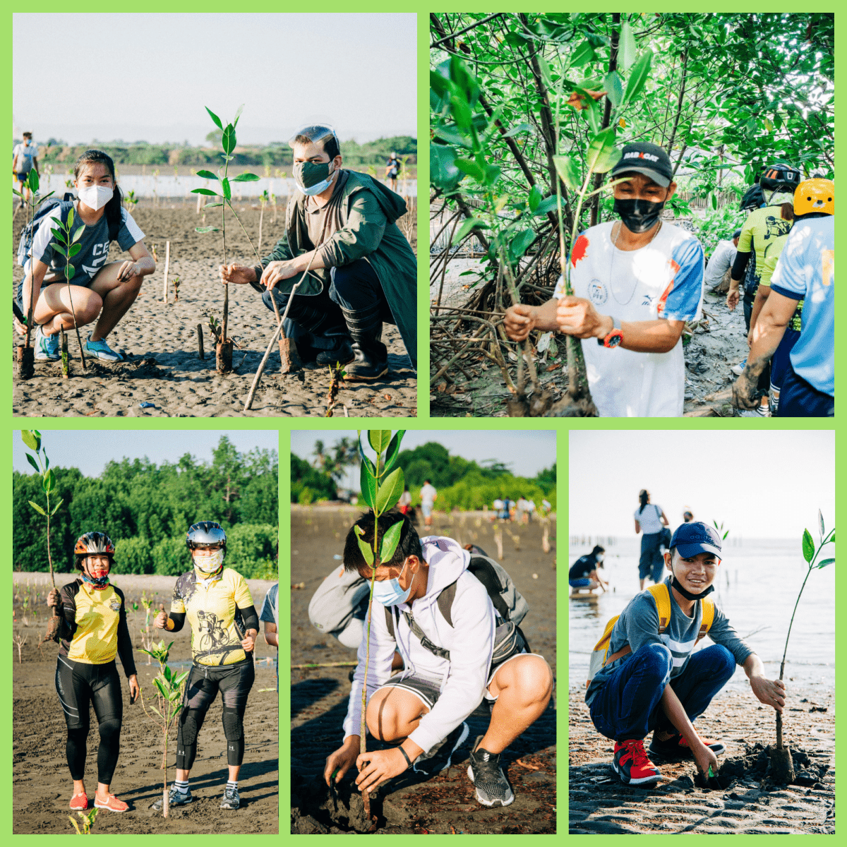 Green Impact Global tree planting