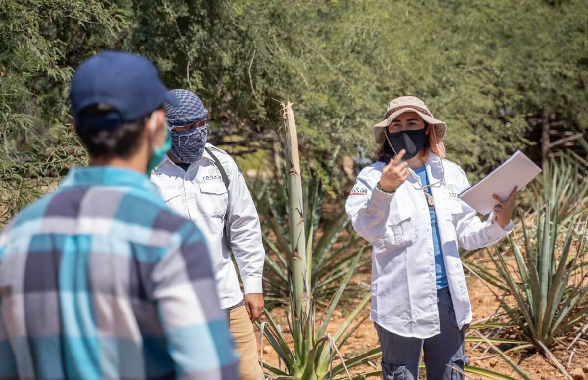 Valeria Cañedo Montaño field work