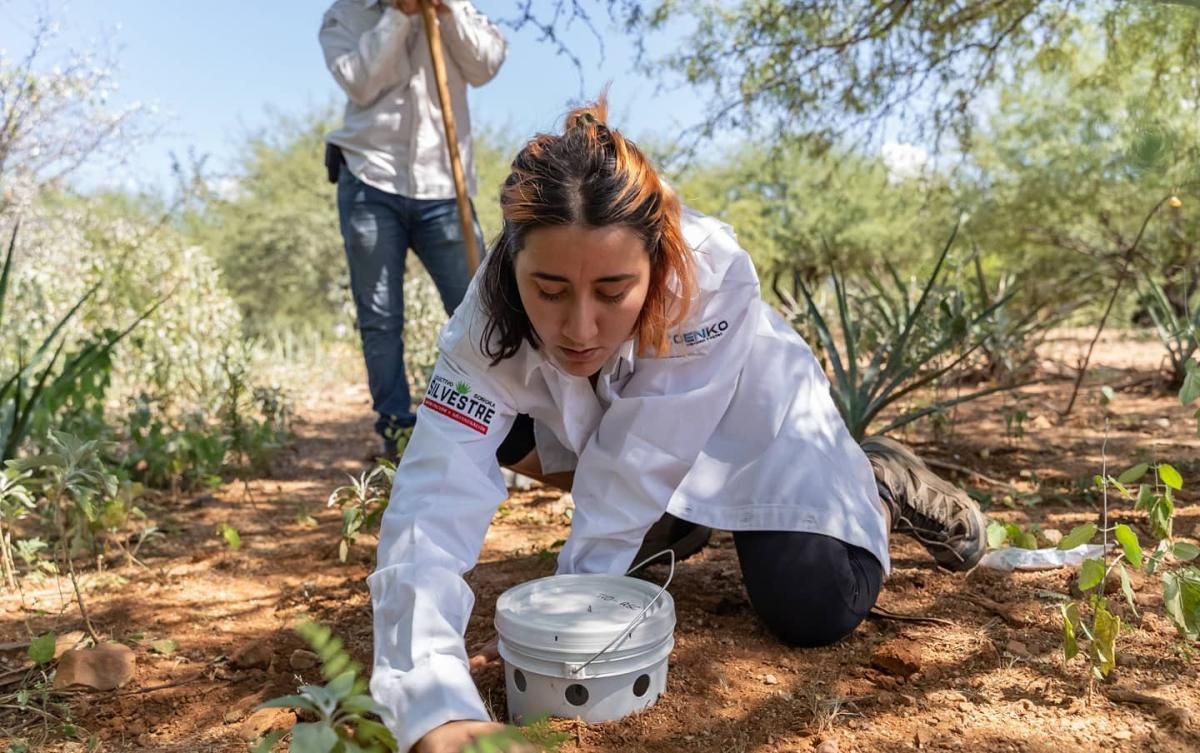 Valeria Cañedo Montaño field work