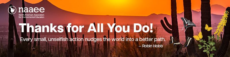 Judy November 2022 thank you letter header desert sunset butterflies "Thank you for all you do."