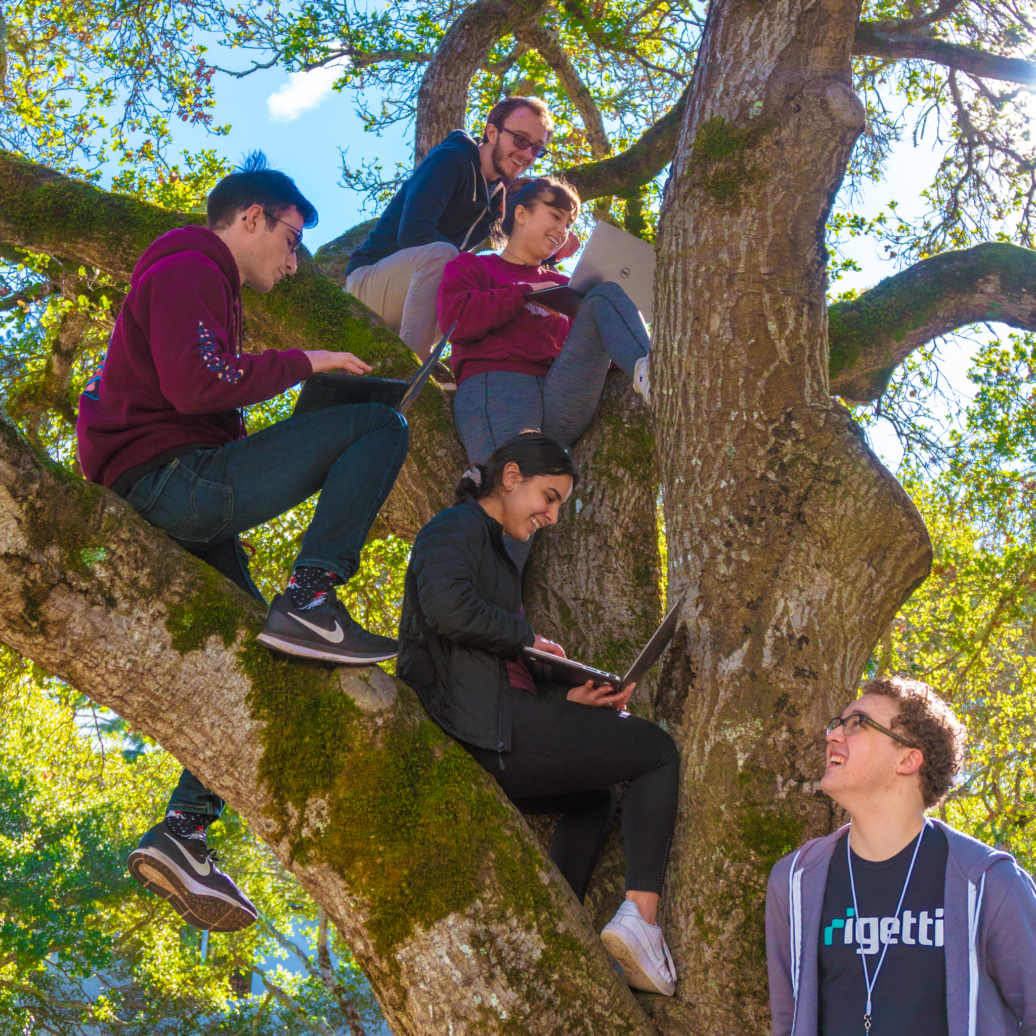 CruzHacks participants work on their projects in a tree!