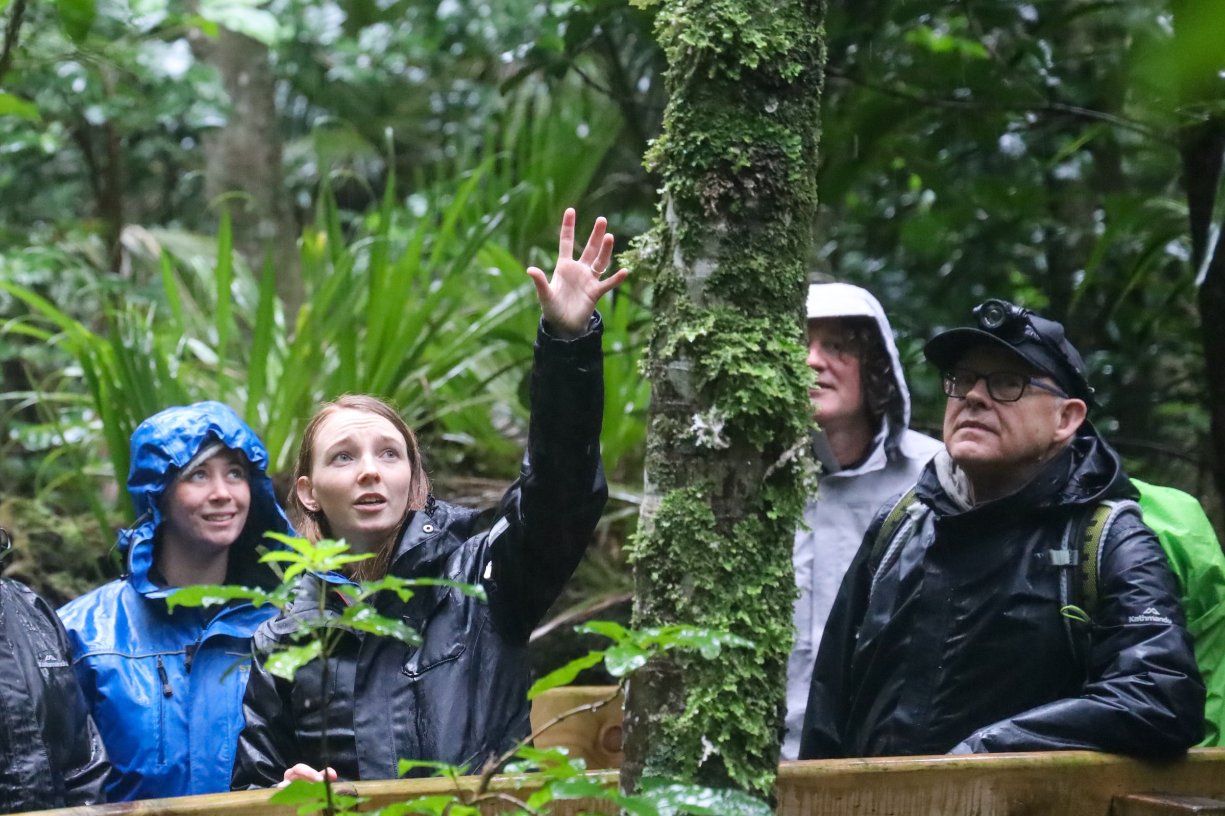 BLAKE Inspire for Teachers Programme discussing lichen and epiphytes.