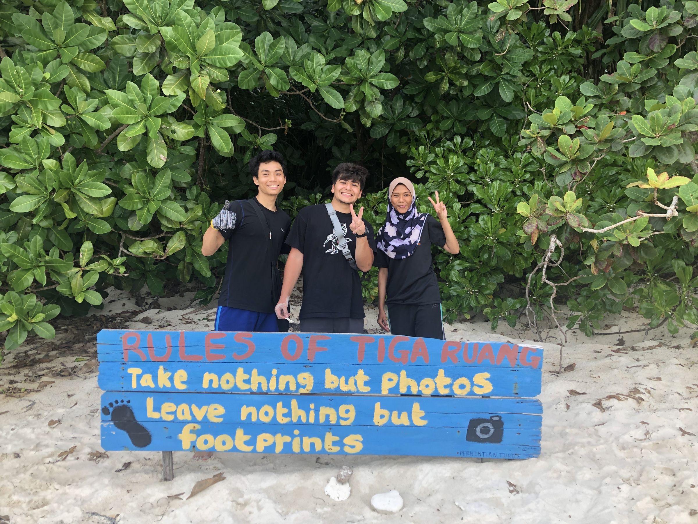 Beach cleanups.