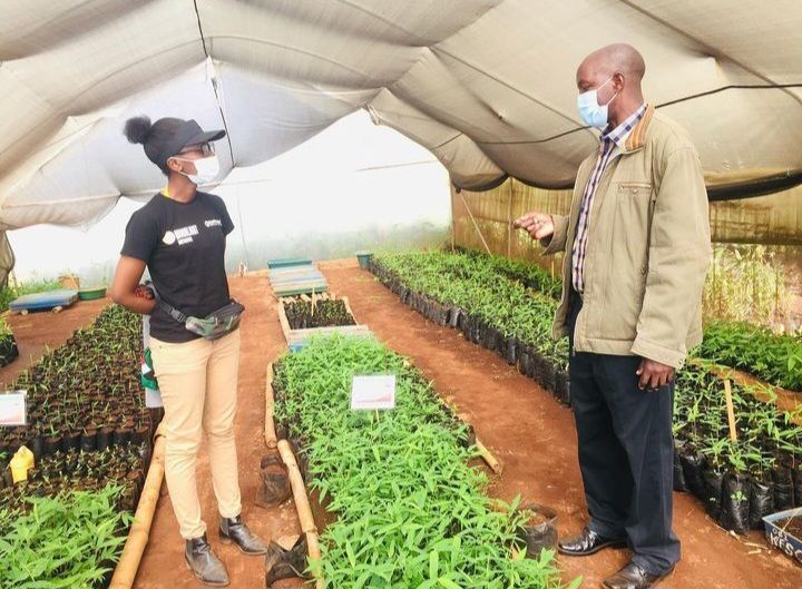 . Wendy Omanga being trained at Kenya Forest Research Institute. Credit: Moonlight Initiative ltd. 