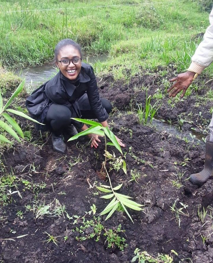 Wendy Omanga planting bamboo at Kibirong Wetlands in Nandi County, Kenya. Credit: Moonlight Initiative ltd. 