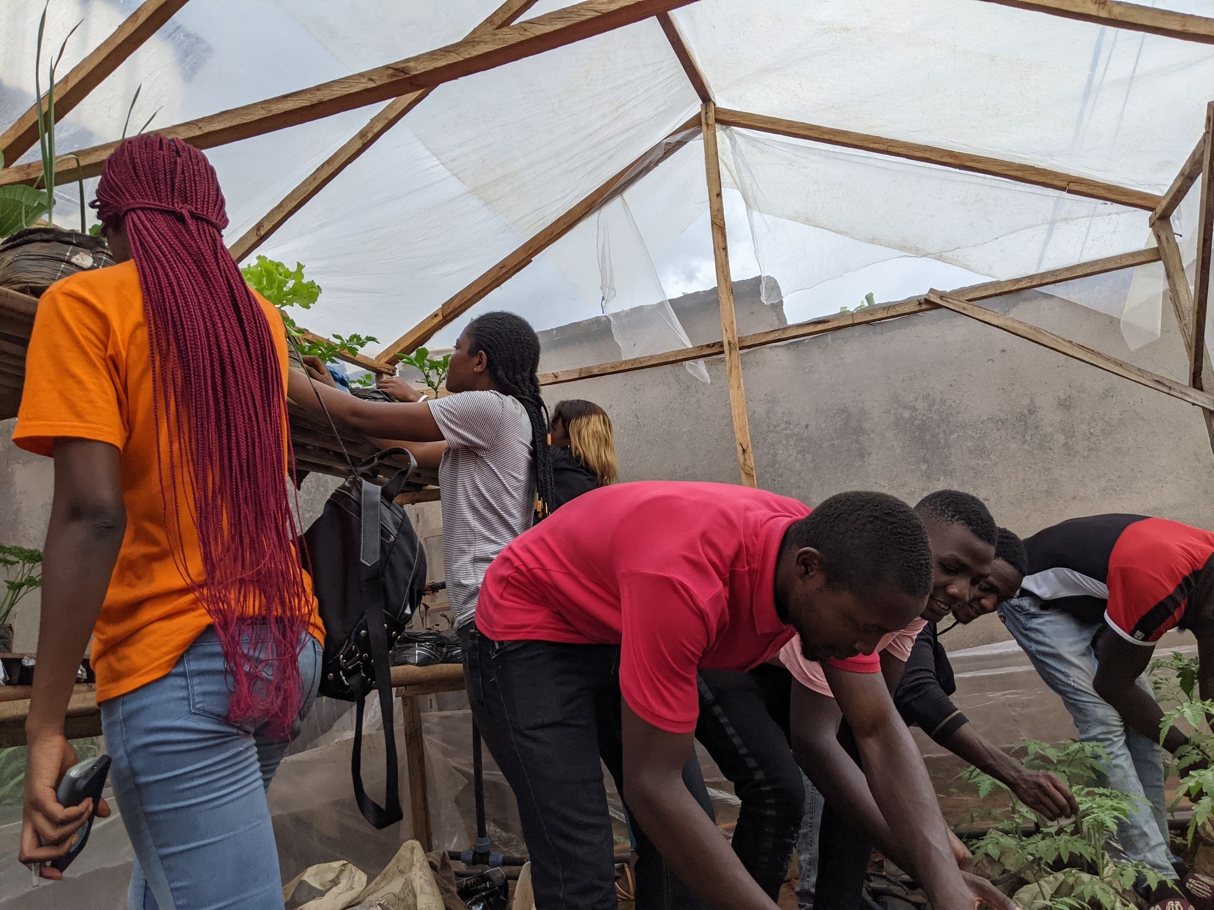 Birndze trains young people on Climate Smart urban gardening 