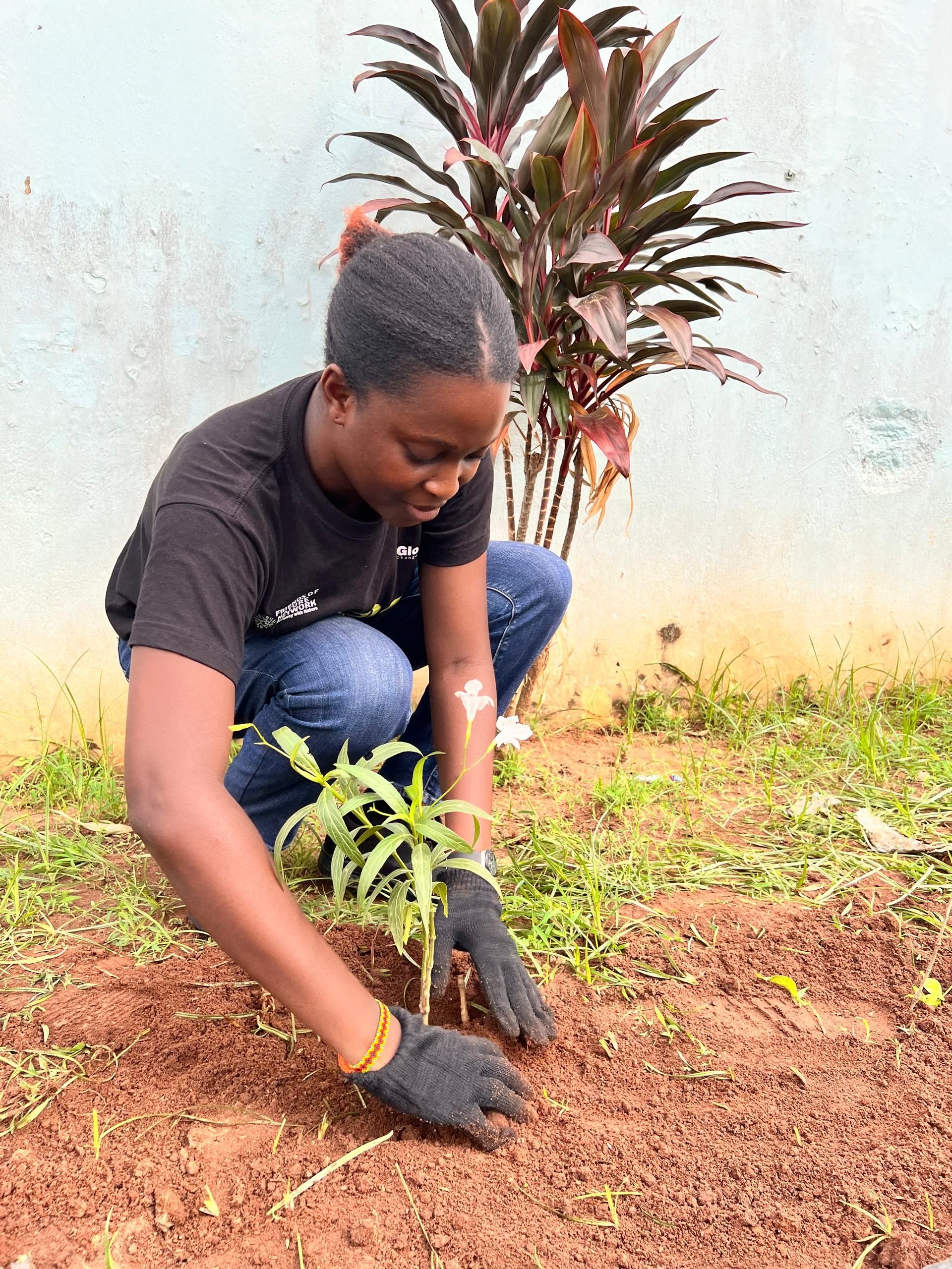 Favour planting a pollinating plant at a Pledge for Nature Workshop to commemorate World Environment Day 2024.