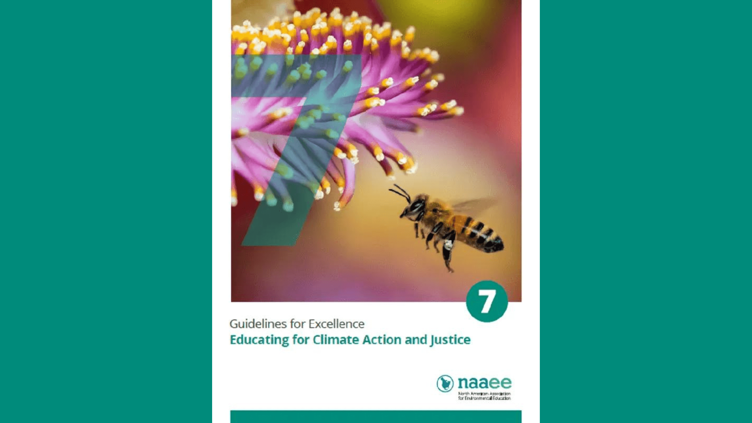 an image of the NAAEE Climate Action & Justice Guidelines cover