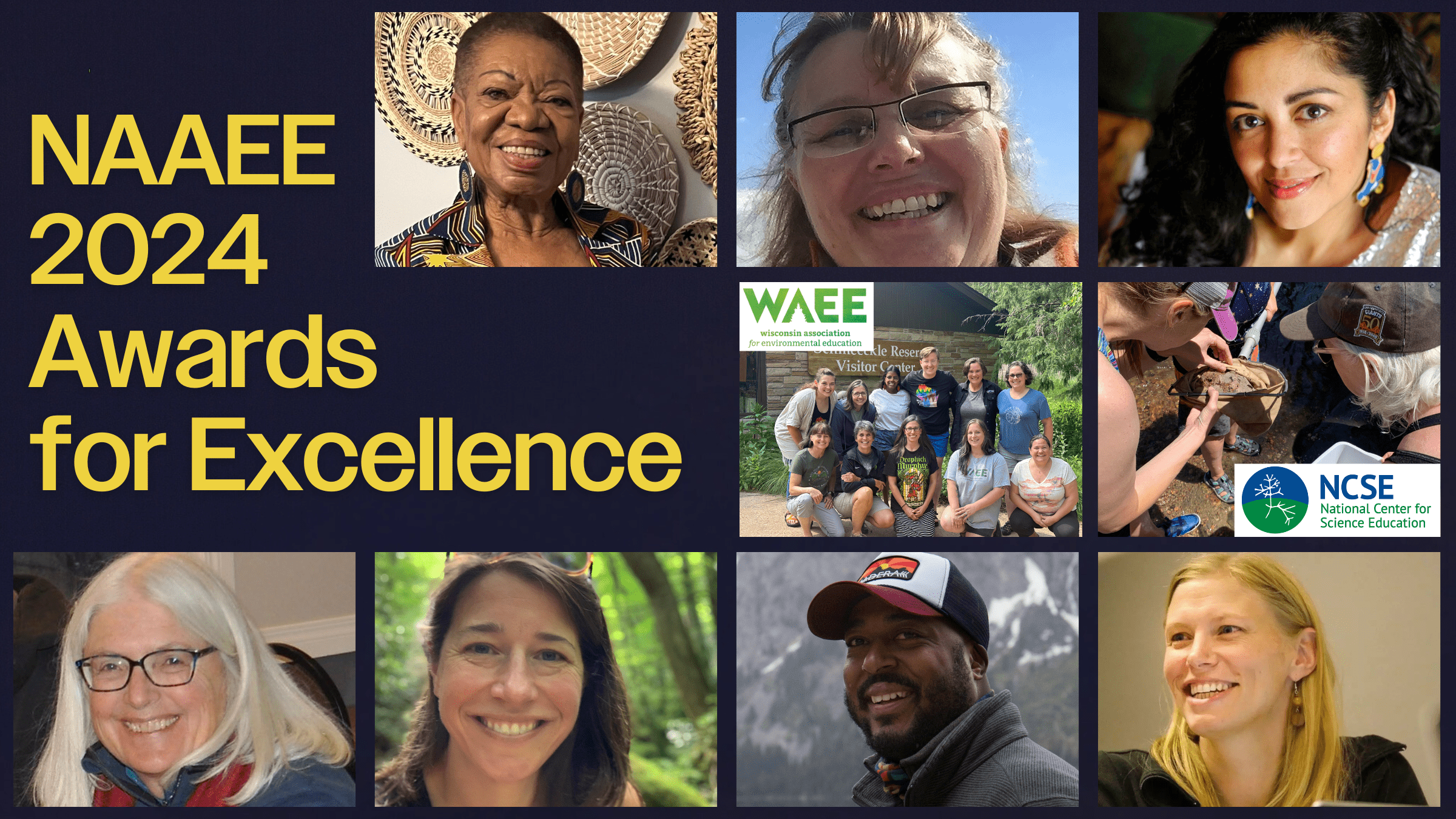 "NAAEE 2024 Awards for Excellence" and a grid of images of the nine awardees