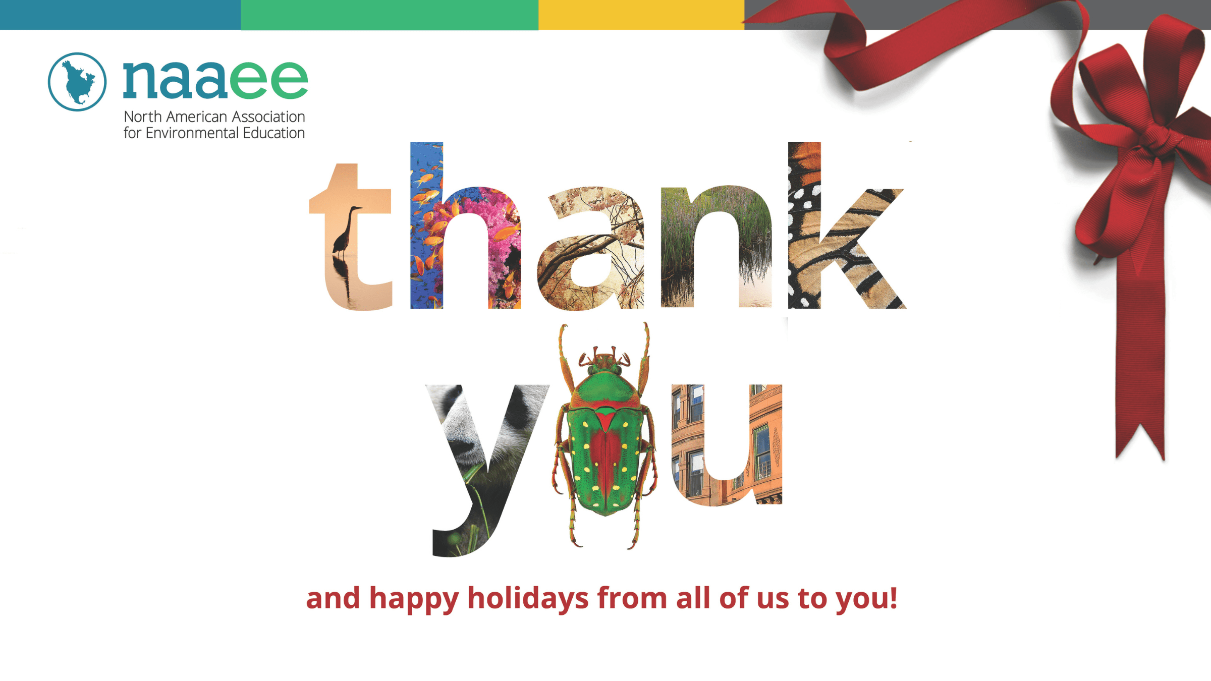 Thank you and happy holidays from NAAEE