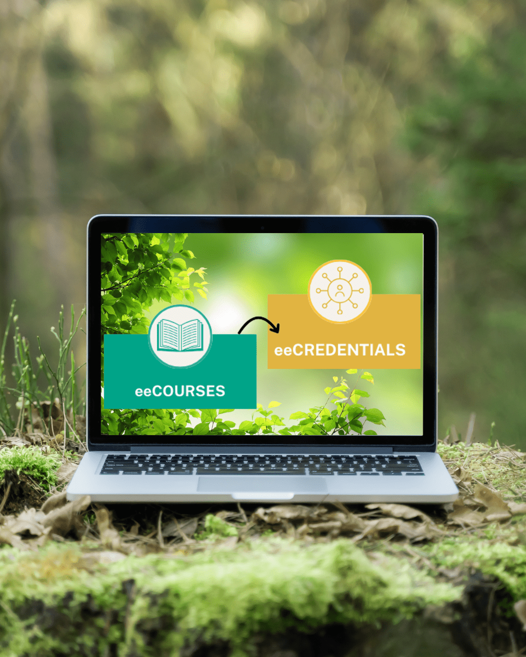 Laptop in the woods. Onscreen: eeCOURSES and eeCREDENTIALS