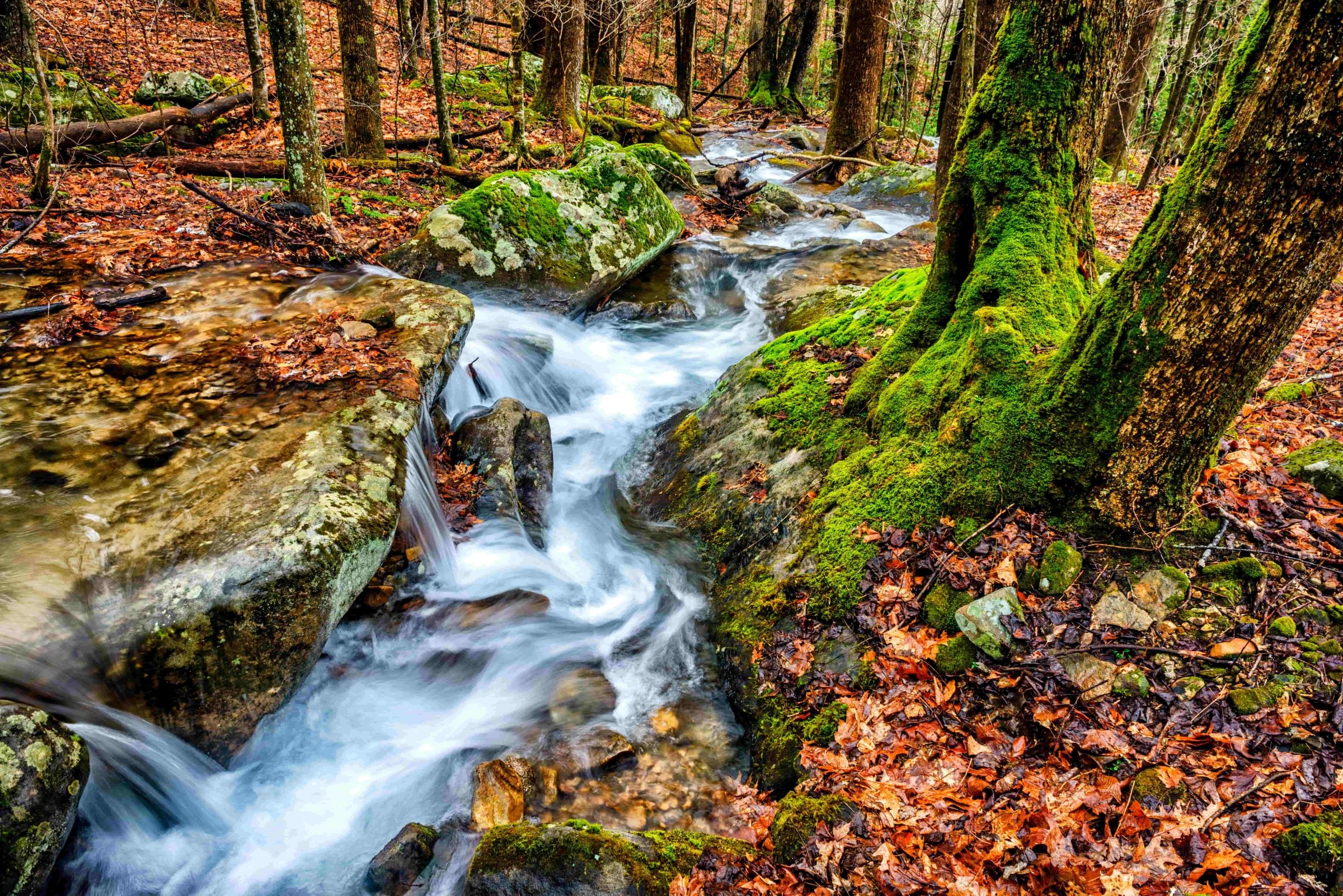 Stream in autumn