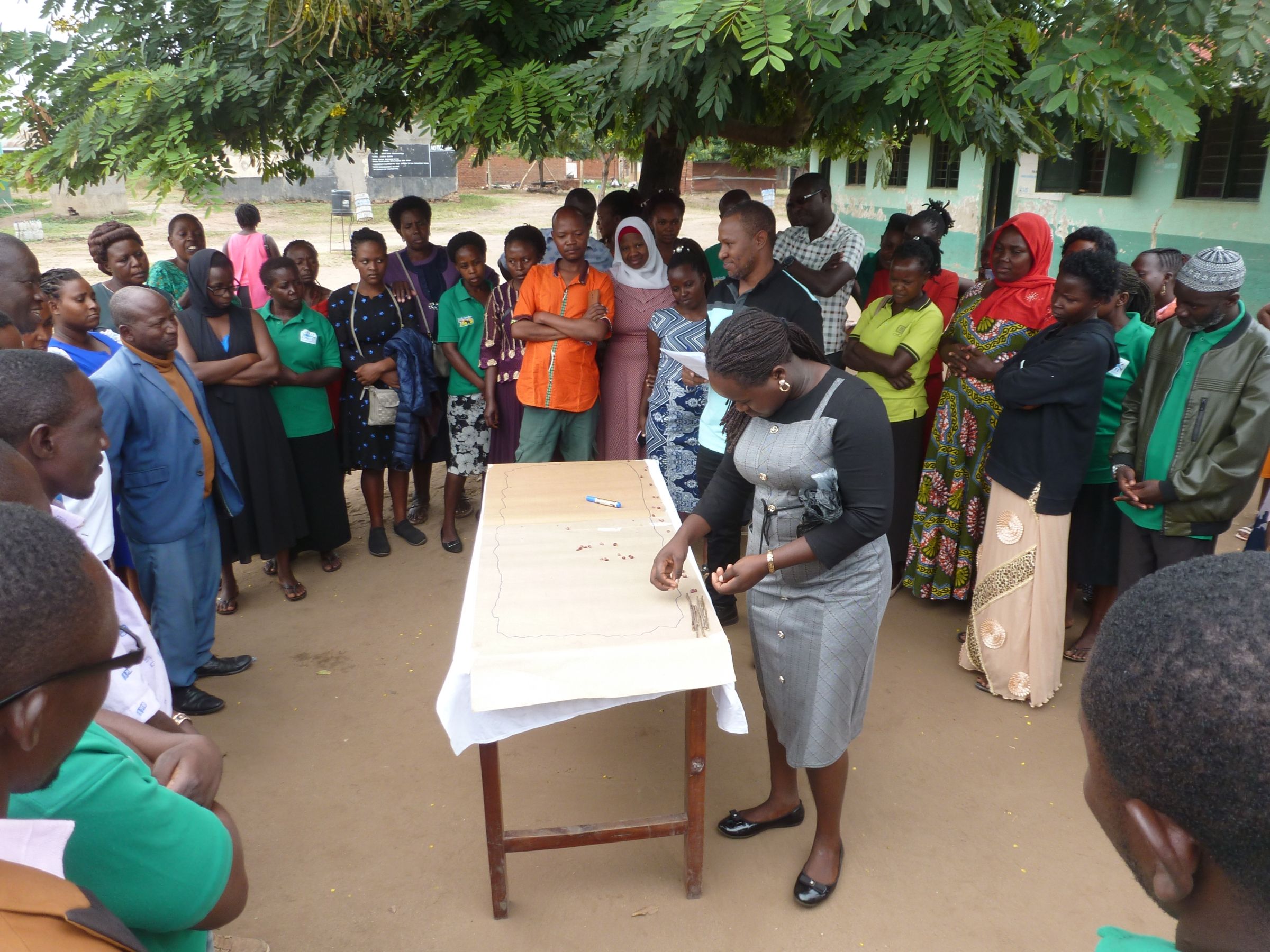 Adults gathered under a tree in a schoolyard