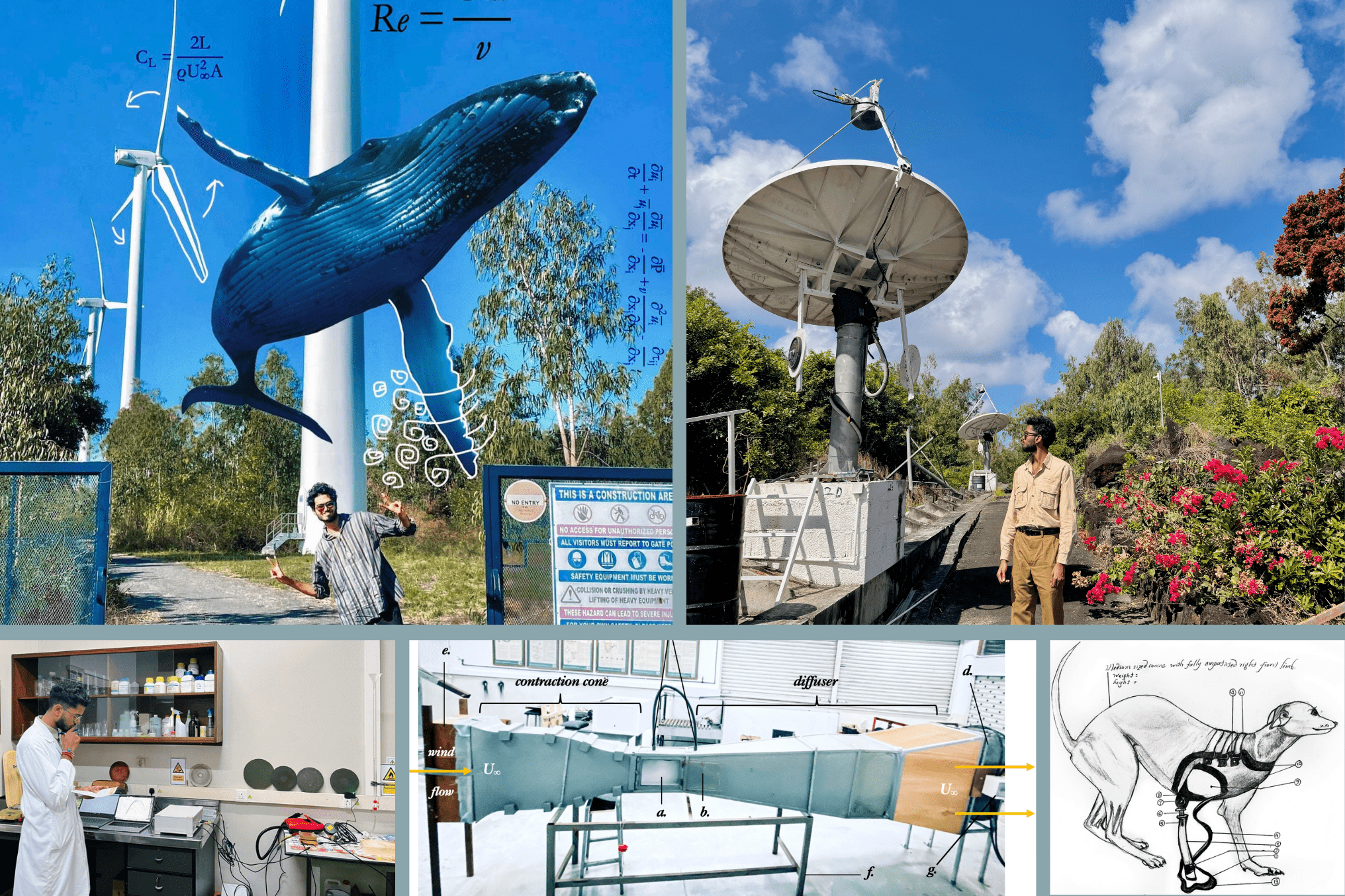 Krishna's various engineering and research-based projects including the biomimicry of Humpback whale tubercles for energy efficiency, the canine front limb prosthesis and the structural optimisations of telescopes. 
