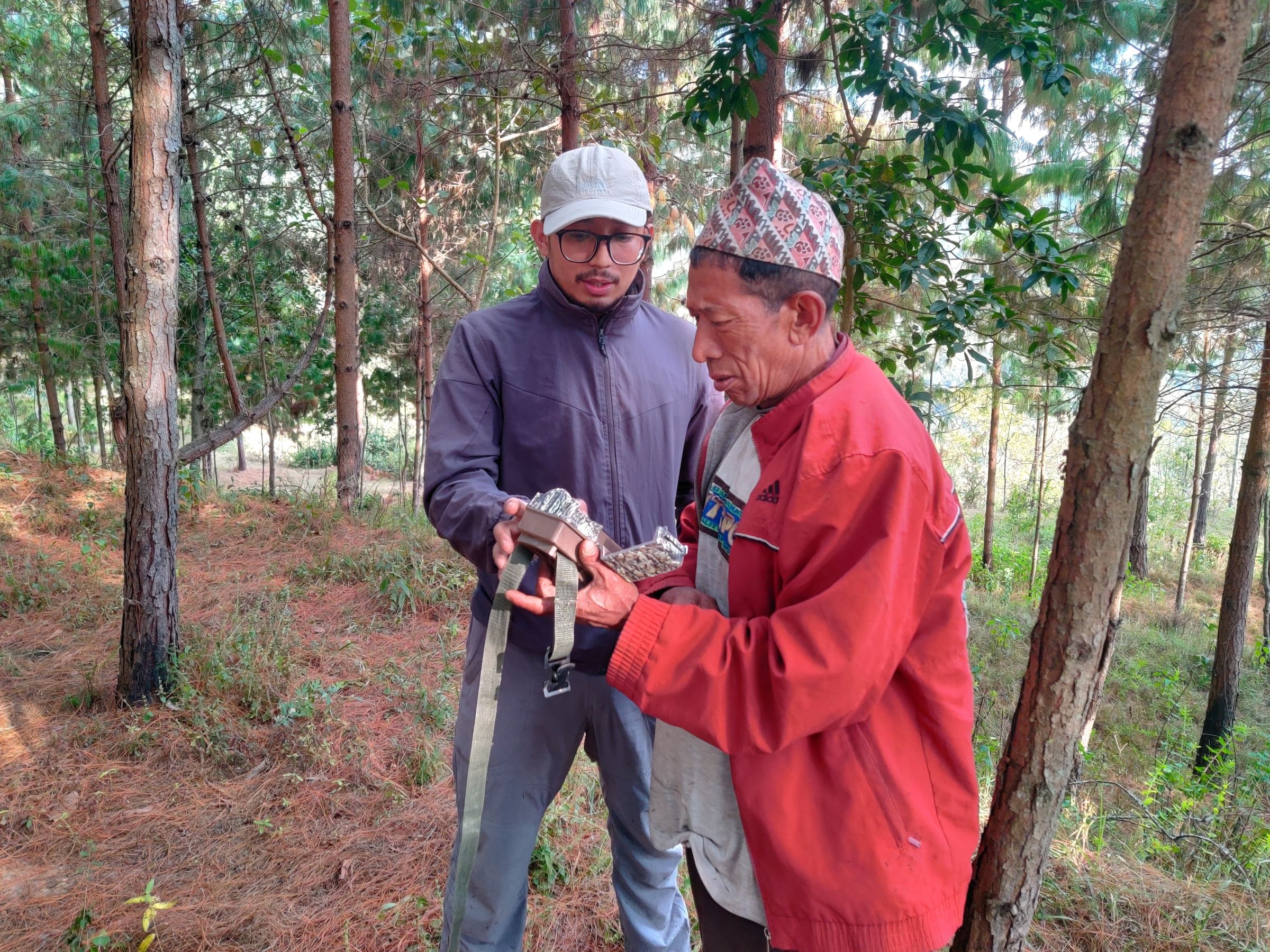 Two people working together in a forest.
