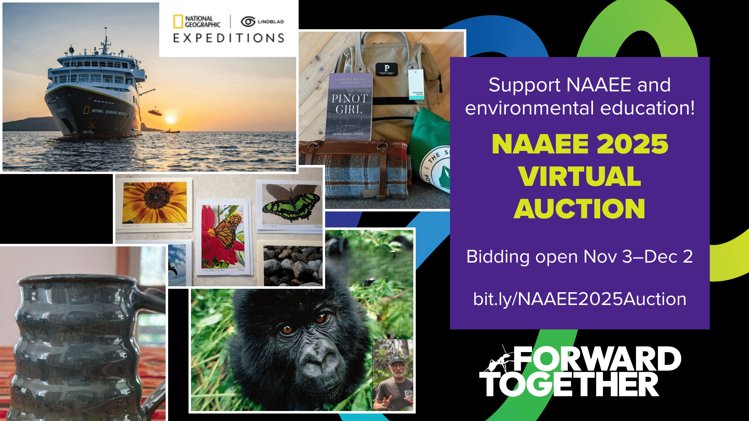 "NAAEE 2025 Virtual Auction" mosaic of prize images