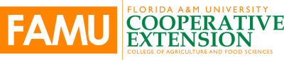 Logo for Florida A&M