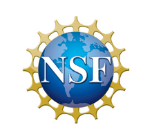 National Science Foundation logo 2022