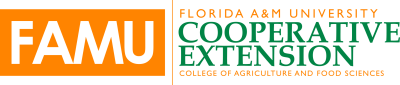 Florida Agricultural and Mechanical University Orange and Green Logo 